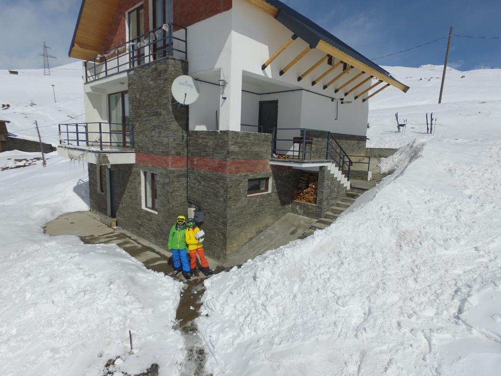 Mountain Cricket Chalets And Apartments Gudauri Exteriör bild